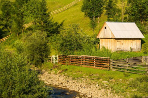 Во Владимирской области сохранят «оскорбительные» названия сел и деревень
