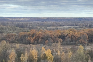 Во Владимирской области потеплеет до +9 градусов