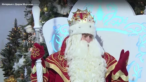 В России назвали стоимость страховки на сани Деда Мороза