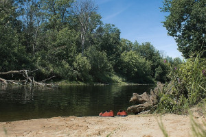 Владимирская область хочет расчистить малые реки при федеральной поддержке 