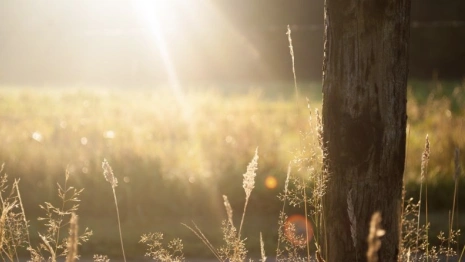 Пропавшего во Владимире 21-летнего парня нашли живым
