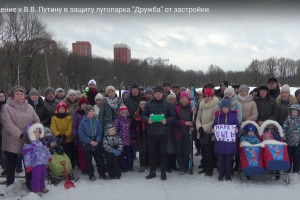 Жители Владимира попросили Путина спасти лугопарк «Дружба»