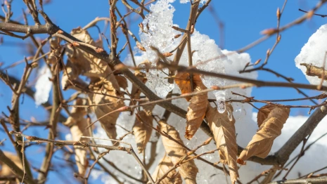 Прогноз погоды во Владимире и области на 29 февраля