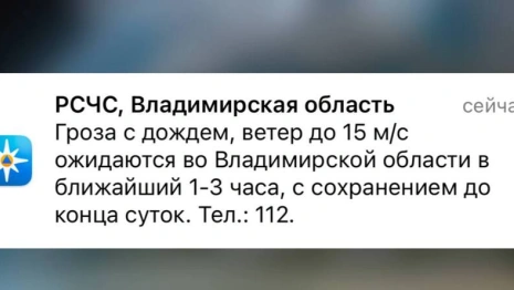 МЧС предупредило владимирцев о дожде и урагане 13 августа