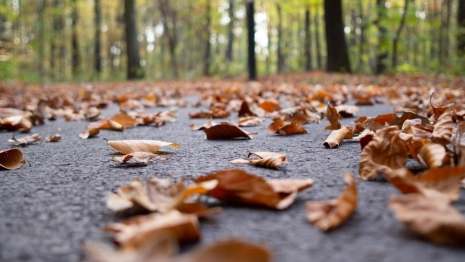 Прогноз погоды во Владимирской области 5 сентября