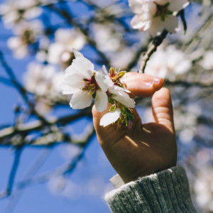 Прогноз погоды на 25 апреля 2025 года во Владимирской области