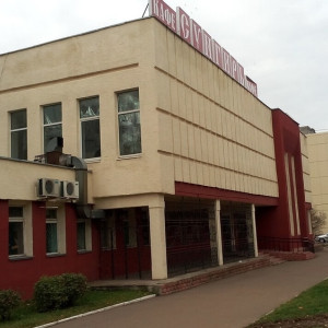 Здание бывшего кафе «Сунгирь» во Владимире продадут за 40,5 млн рублей