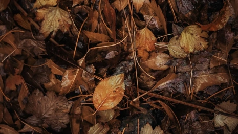 Во Владимирской области потеплеет до +9