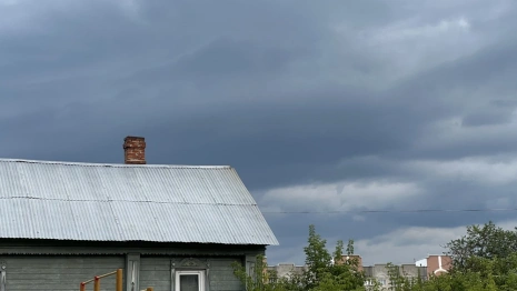 Во Владимирской области спрогнозировали грозу с дождем и ураган до 17 м/с