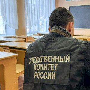 Бастрыкин взял на контроль историю с избиением ребенка во владимирской школе