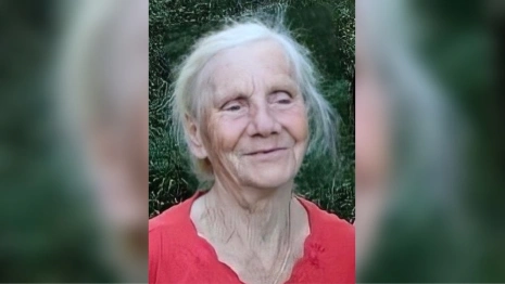 Владимирцев позвали на срочные поиски в лесу 83-летней бабушки