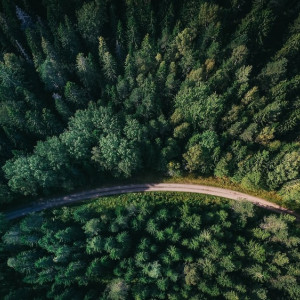 Гайд «День во Владимире». Как выйти из леса живым