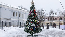 В Коврове появилась «Елка Победы»