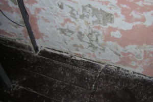 Состояние камер во Владимирском централе привело к суду