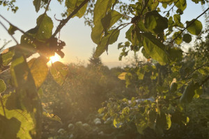 Прогноз погоды во Владимире и области на 7 сентября