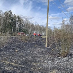 В Камешковском районе пожар уничтожил 400 квадратов сухой травы