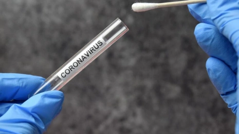 Коронавирус во Владимирской области: 21 апреля