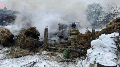 На пожаре под Гусь-Хрустальным пострадал один человек