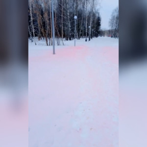Снег в Добросельском парке во Владимире стал розовым