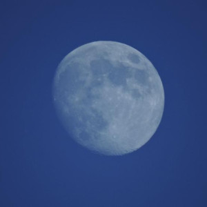 Жители Владимирской области смогут увидеть суперлуние 5 декабря