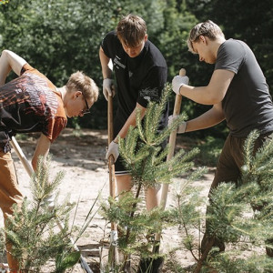 Во Владимире появилась Аллея молодых докторов