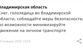 МЧС разослало экстренное предупреждение о метели во Владимирской области
