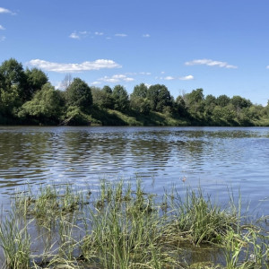 В Вязниках спасли тонущего 38-летнего мужчину