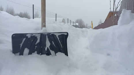 От ручной лопаты до ковша на машине. Как Владимирская область пережила аномальный снегопад