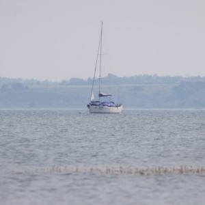 Во Владимирской области откроют тропу Ильи Муромца и лодочную пристань