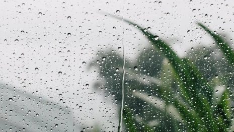 Во Владимирскую область пришло временное похолодание