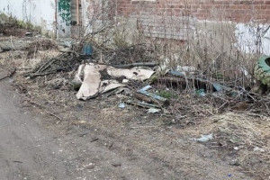 Огромная стихийная свалка в Камешково привела к суду