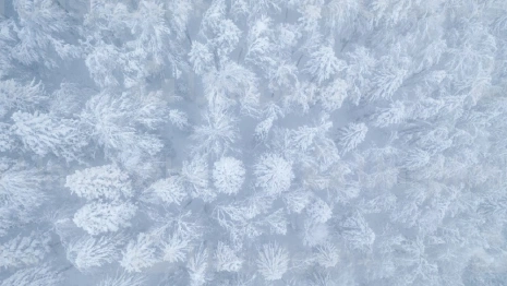 Стало известно, когда во Владимирской области завершится снегопад