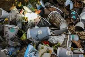 В Камешково подрядчик по оборудованию контейнерных площадок кинул чиновников на 1,6 млн рублей