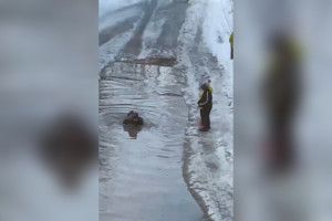 Во Владимире дети устроили бассейн в огромной луже