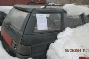 Во Владимире насчитали 17 «автоподснежников»