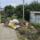 Во Владимире улица Солнечная утонула в мусоре