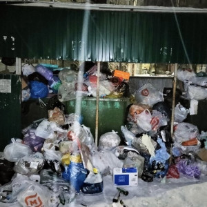 Мэр Владимира признал проблемы с вывозом мусора