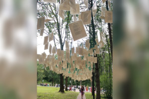 В Фатьяновском парке в Вязниках впервые появились тематические фотозоны