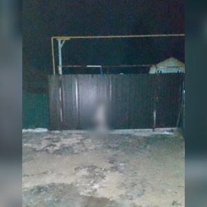 В Муроме мужчина повесил собаку на заборе