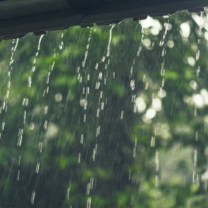 Прогноз погоды во Владимирской области на 19 августа