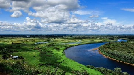 Во Владимирской области на новые мусорки и очистку вод потратят 131 млн рублей