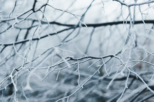 Прогноз погоды во Владимирской области на 16 декабря