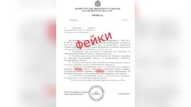 Во Владимирской области разлетелся фейк об отключении интернета