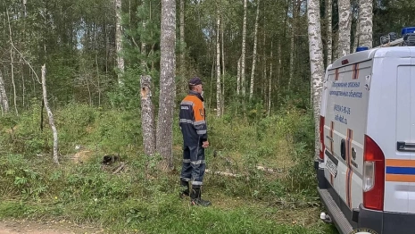 Владимирские спасатели вывели двух заблудившихся женщин из леса