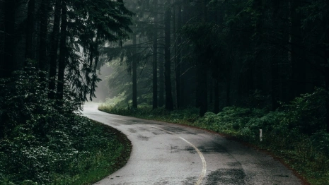 Циклон «Кассандра» доберется до трассы М-12 во Владимирской области