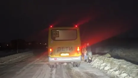 Владимирские школьники вынуждены ждать автобус в темноте прямо на дороге

