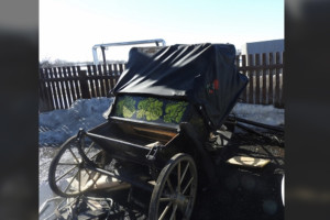 Попавший под следствие из-за ДТП с гужевой повозкой в Суздале полицейский уехал на СВО