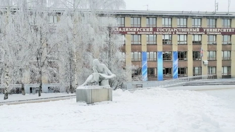 Владимирский госуниверситет попал в мировой топ