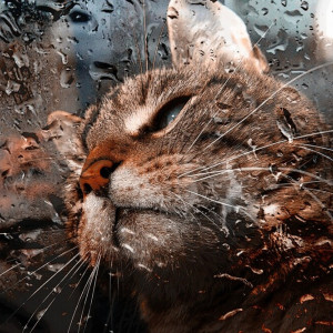 Владимирская область «провалится» в баррическую пропасть