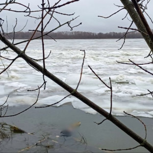 Следком начал проверку из-за утонувшего в Оке в Муроме 28-летнего мужчины